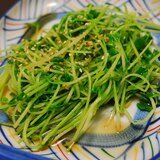 【ささっと１分】豆苗(とうみょう)おひたし